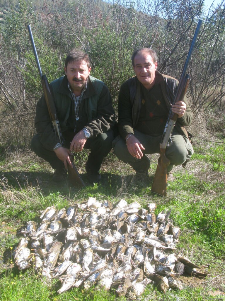 Journée de chasse aux grives