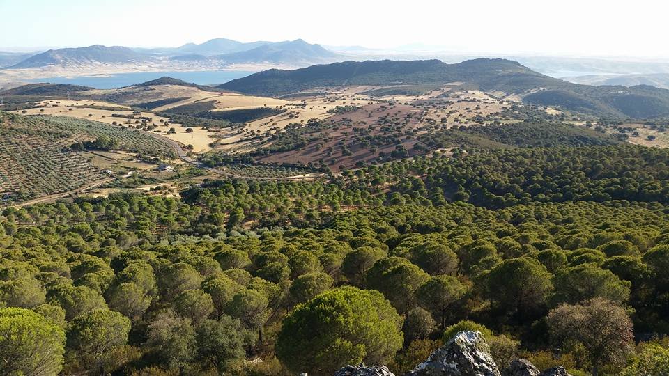 Réserves naturelles de la Sierra del Oro