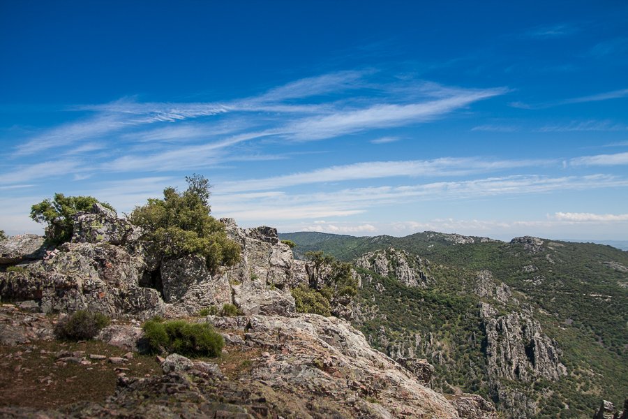 Sierra Morena (Andalucía)