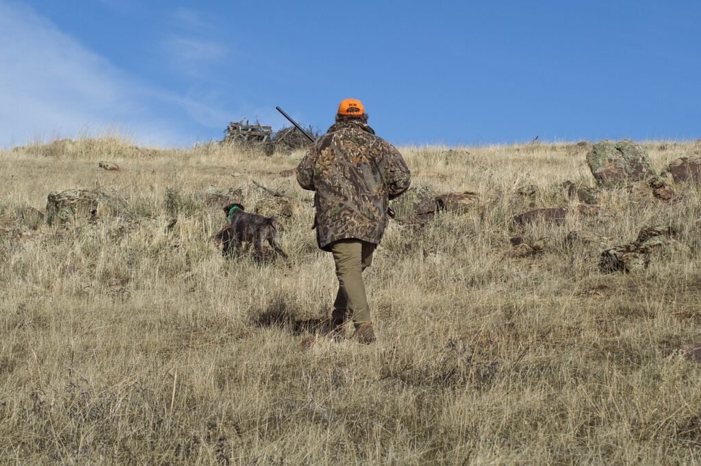 Chasseur lors d'une journée de chasse au petit gibier