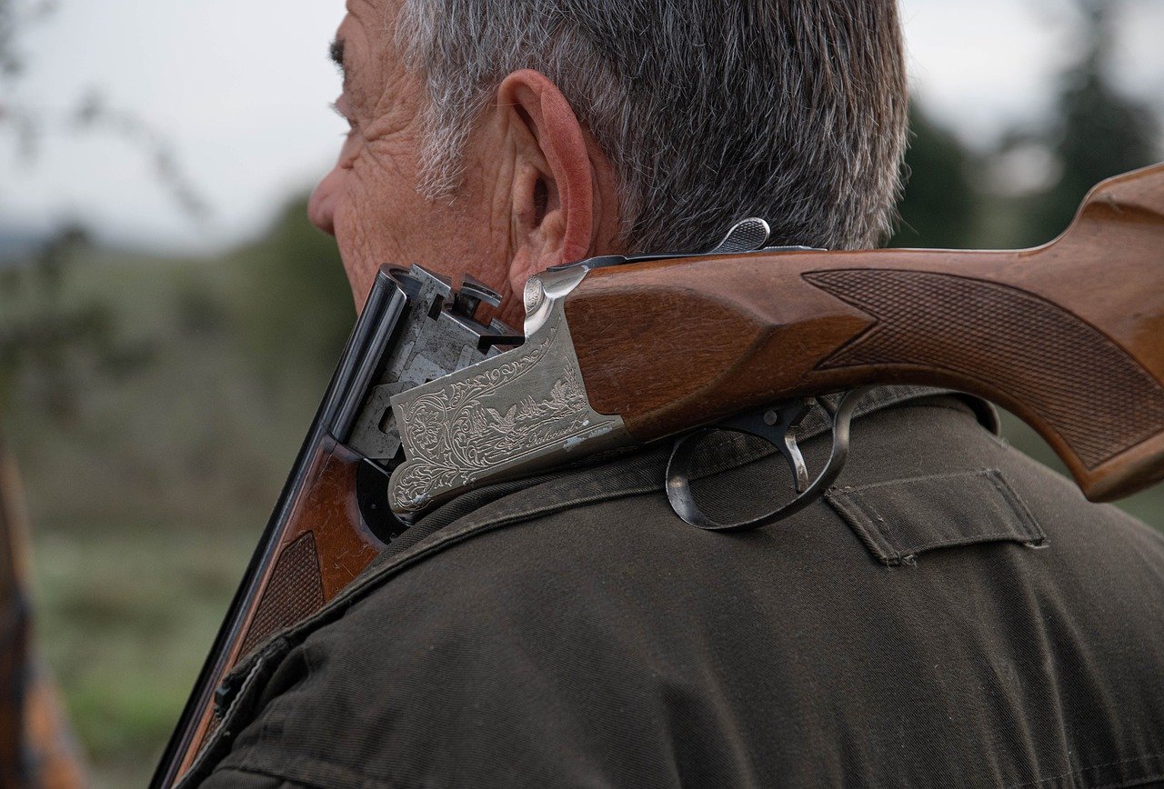 Actions de chasse au pigeon ramier - - France Chasse