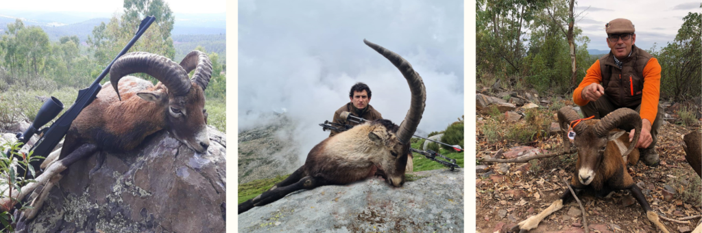Chasse au gros gibier avec la Sierra del Oro