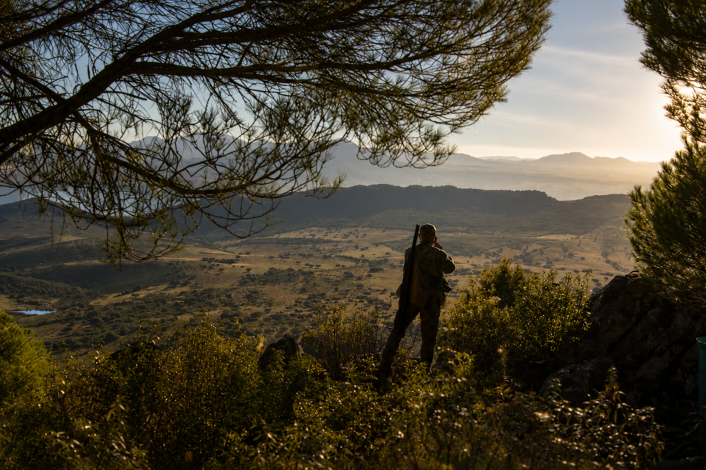 Sierra del Oro